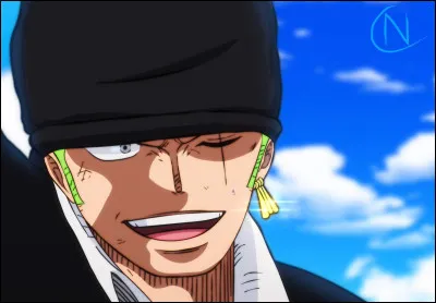 Voil&agrave;, lui c'est Roronoa Zoro !