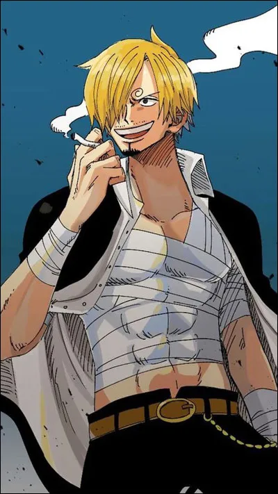 Et voil&agrave; Sanji, le cuisinier de l'&eacute;quipage !
