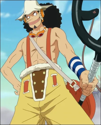 Je te pr&eacute;sente Usopp !