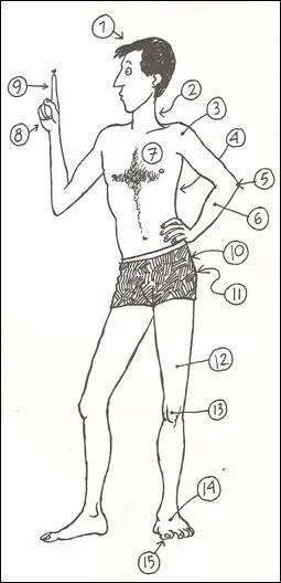 Qu'indique le numro 4 (ventre) ?