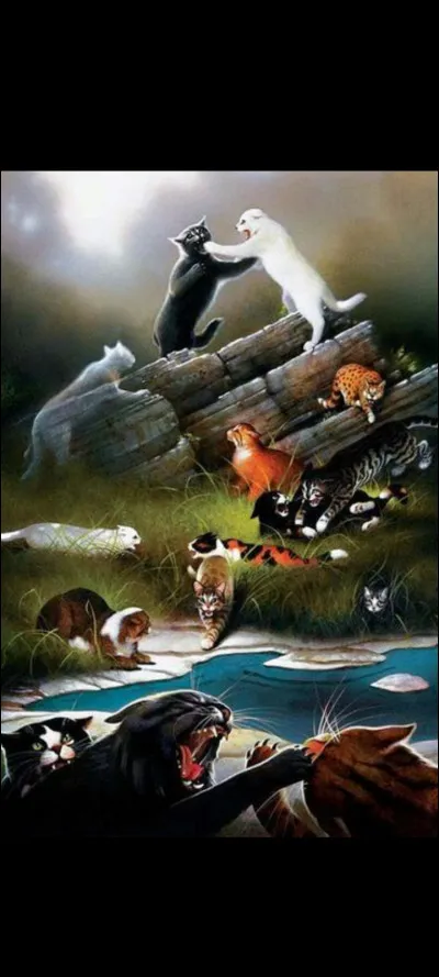 Lors d'une bataille tu :