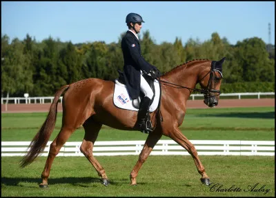 Où dois je partir au galop ?