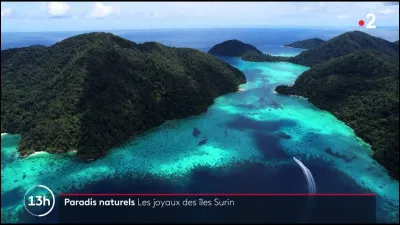 Quelle déesse vient en aide à Ulysse ?