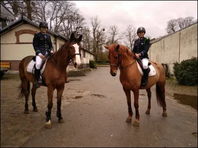 Que désigne "ENE" ?