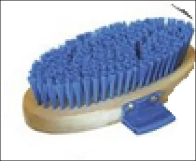 Quelle est cette brosse ?