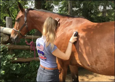 À quoi sert le pansage ?