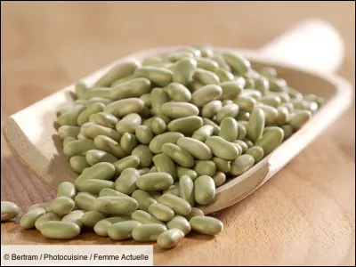 Que sont ces légumes secs ?