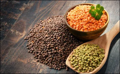 Outre la couleur verte ou brune, quelle couleur peuvent aussi revêtir les lentilles ?