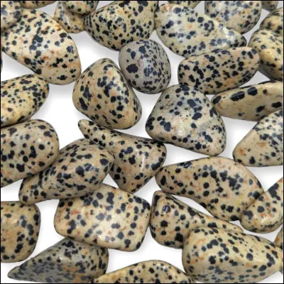 Quel est le niveau de dureté de la jaspe dalmatien ?