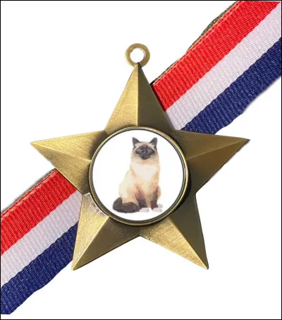 Comment te récompense-t-on ?