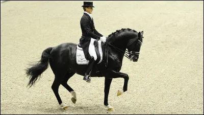 Quels sont ses rôles ?