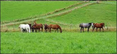 Quel est cet espace de ton club ?