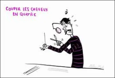 "Couper les cheveux en quatre" signifie...