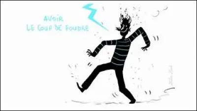 "Avoir un coup de foudre" veut dire...