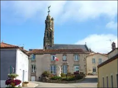 De quel département des Pays-de-la-Loire la commune de Saint-Michel-Mont-Mercure est-elle le point culminant ?