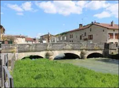 Vrai ou faux : le village de Poissons est jumelé avec le village d'Avril.