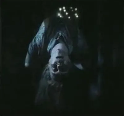 Qui est "l'invité" de Voldemort ?