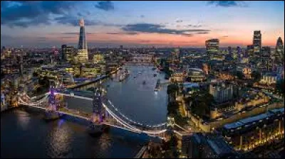 De quoi allez-vous profiter si je vous dis "enjoy your meal" ?