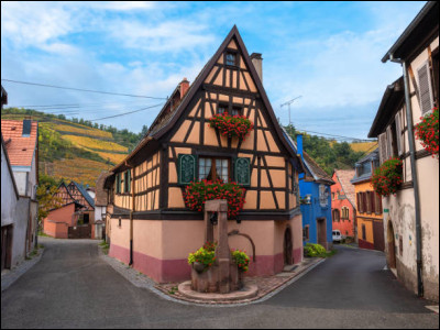 Quel est le nom de ces fleurs accrochées à beaucoup de maisons alsaciennes ?