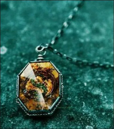 Qui détruit le médaillon ?