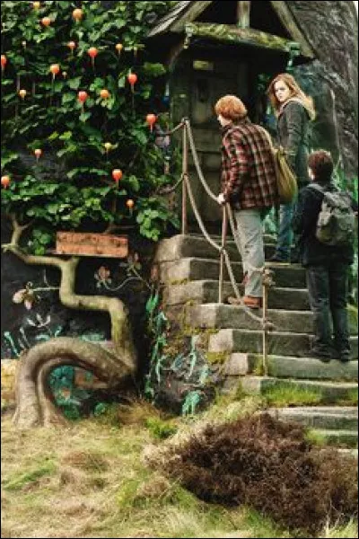 Qui le Golden Trio va-t-il voir ?