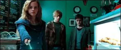 Quel sortilège leurs inflige Hermione ?