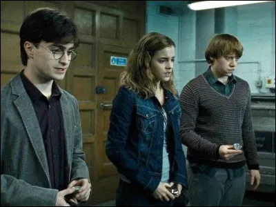 De qui Hermione prend-elle l'apparence ?