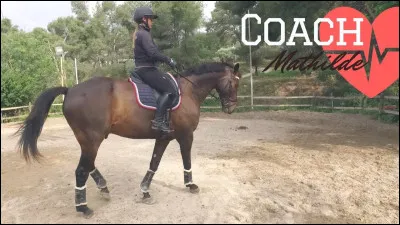 Quel est le point commun entre la diagonale, la demi-volte et la demi-volte renversée ?