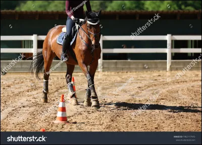 Les serpentine à nombre de boucles paires (2, 4, 6,...) fait changer de main.
