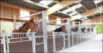 Franchement facile, quel est cet endroit ?