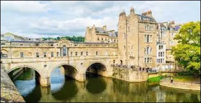 Quel est le pluriel du terme "dog" ?