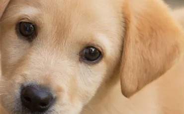 Quiz Test de personnalit�