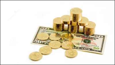 Combien d'argent es-tu pr&ecirc;t &agrave; d&eacute;penser pour ce chien ?