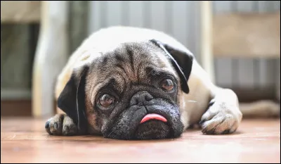 Serait-il souvent seul ?