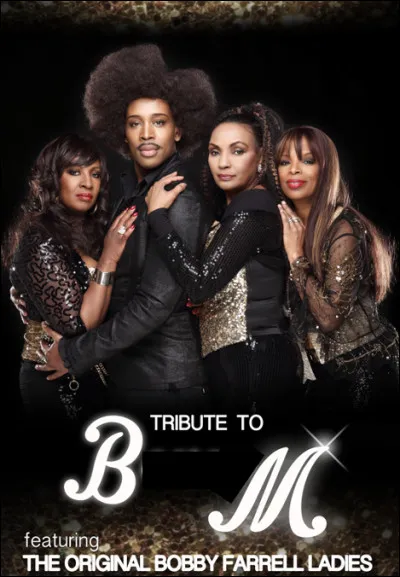 Quel est ce groupe en B germano-antillais de disco pop, actif de 1975 à 1985 ?