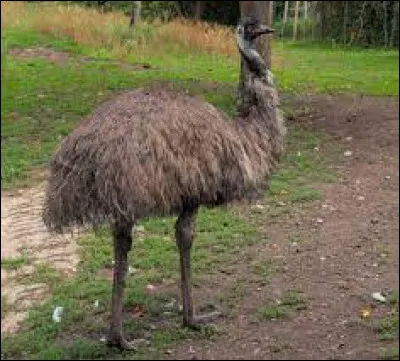 Ne le confondez pas !