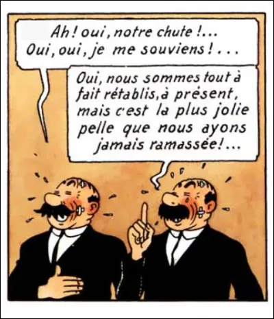 Toujours des gouttes semblables, même lorsqu'il s'agit d'un rire jaune... Que se remémorent nos deux super-détectives ?