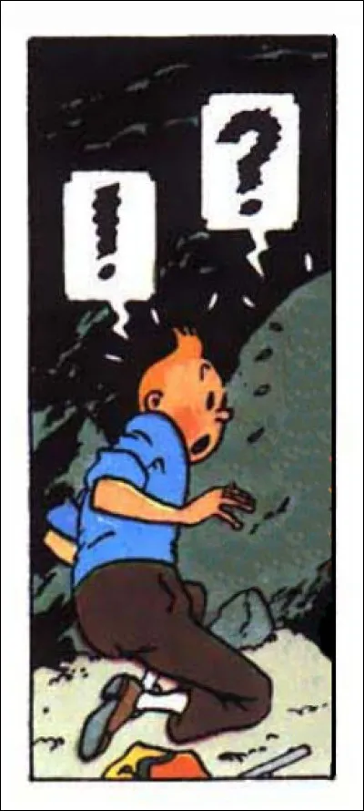 Qu'est-ce qui vient provoquer la grande surprise de Tintin ?