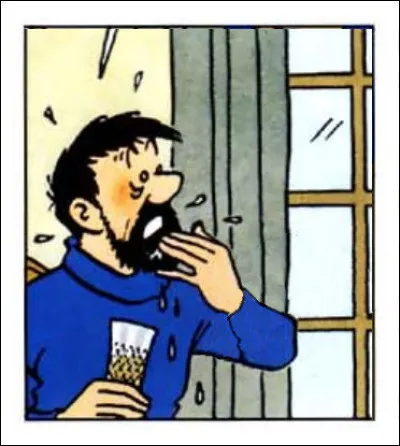 Encore une fois, Haddock n'est pas vraiment à son avantage... Qu'est-ce qui l'a chamboulé à ce point ?