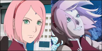 Qui est Sakura ?