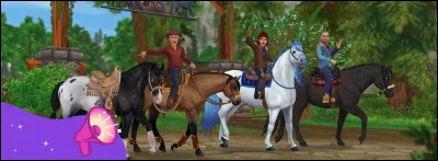 Que préfères-tu faire avec ton cheval ?