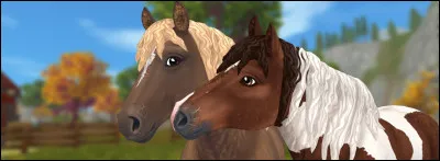 Quelle est ta robe préférée ?