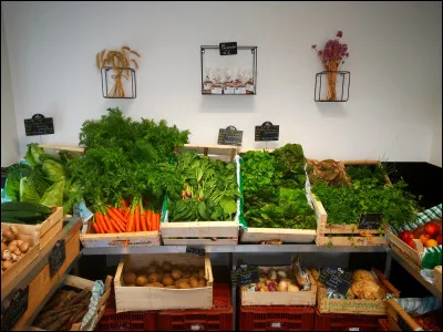 Quel est ce métier ?