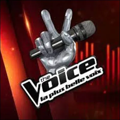Sur quelle chaîne l'émission télévisée "The Voice, la plus belle voix" est-elle diffusée ?