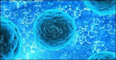 Quelle est la bonne orthographe ?