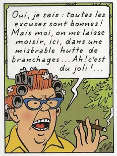 Quel est ce personnage dans Tintin ?