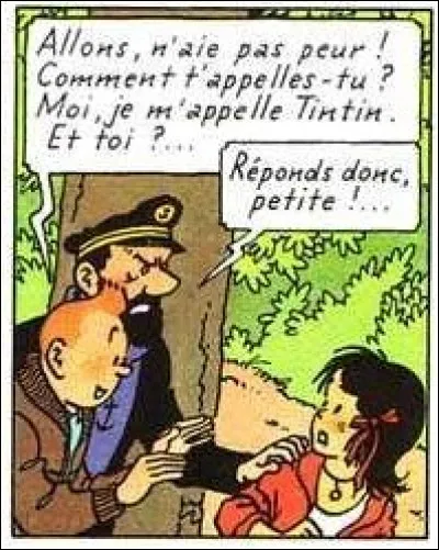 Quel est ce personnage dans Tintin ?