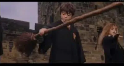 À son premier cours de balai, Harry ne respecte pas la consigne donnée par le professeur et senvole sur son balai en récupérant le Rapeltout de Neville que Malefoy a volé. 
Pourquoi le professeur McGonagall demande-t-il à Harry de venir la voir ?