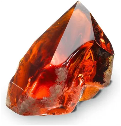 Harry, Ron et Hermione découvrent Touffu le chien à trois tête de Hagrid. Hermione remarque quil est sur une trappe. Après de nombreuses recherches, elle trouve ce qui se cache derrière cette trappe. 
Mais quest-ce cest, et qui la créé ?