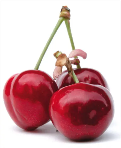 Quelle est cette variété de cerise en M, une griotte rouge vif à la chair tendre et acidulée ?